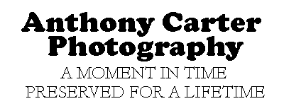 Anthony Carter Photography